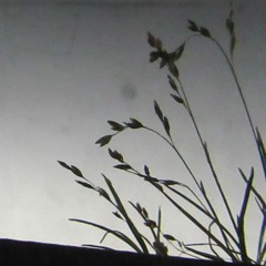 yo this shit fire (1st mix)