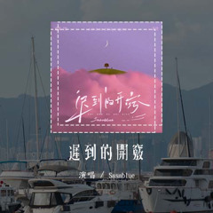 Sasablue - 遲到的開竅 (原唱：蟹飽王er)「窗台那盆和你種的花 被我偷偷留下，早就狠心刪除的號碼 此刻又想再打」(可轉伴奏和人聲視頻)【動態歌詞/pīn yīn gē cí】#Sasabl