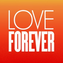 The Love Forever (Original Mix)