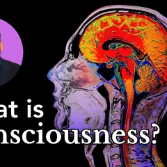 What Shapes Your Inner Moral Compass? Examining Islam vs. Freud, Kant, and Aquinas