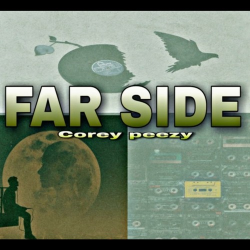 Far Side