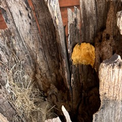 The Grace of life - 7:13:24, 1.14 AM