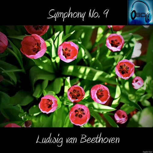 Symphony No. 9 In D Minor, Op. 125 - I Allegro ma non troppo, un poco maestoso - Ludwig van Beethoven (8D Binaural Remastered - Music Therapy)