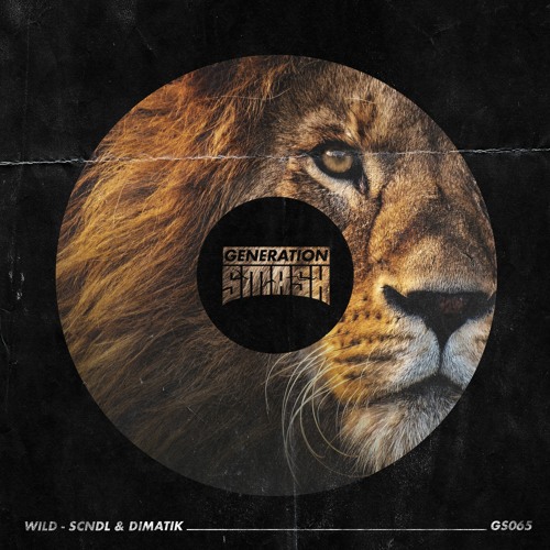Dimatik & SCNDL- Wild