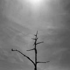 god is a british man