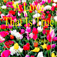 A Love That Is True