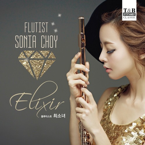 Devienne : Flute Concerto No.7 In E Minor - I. Allegro
