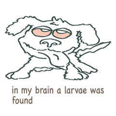 𓆤 in my brain a larvae was found 𓆤