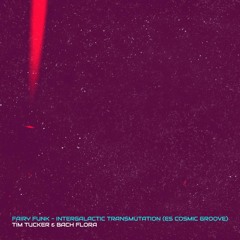 Fairy Funk Vol.2 - (Intergalactic Transmutation Album) Tim Tucker & BachFlora