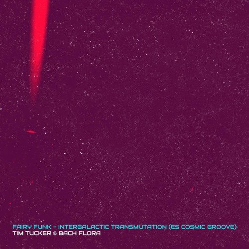 Fairy Funk Vol.2 - (Intergalactic Transmutation Album) Tim Tucker & BachFlora