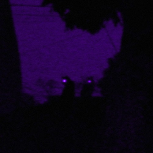 gone dark [ft. SXGED]
