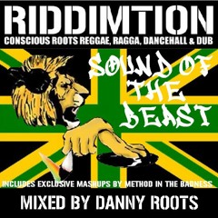 Sound Of The Beast - Riddimtion Mixtape 2017 - Mixed by Danny Roots