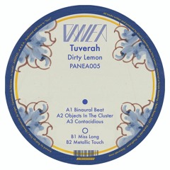 Premiere: B2 - Dirty Lemon - Metallic Touch [PANEA005]