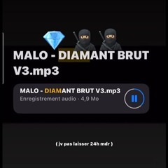 Malo - DIAMANT BRUT (Exclu du 21 décembre 2024)