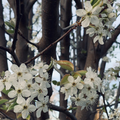 In Between The Light 3/3/2022