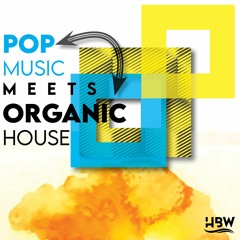 Pop Music meets Organic House // Cover mix selection