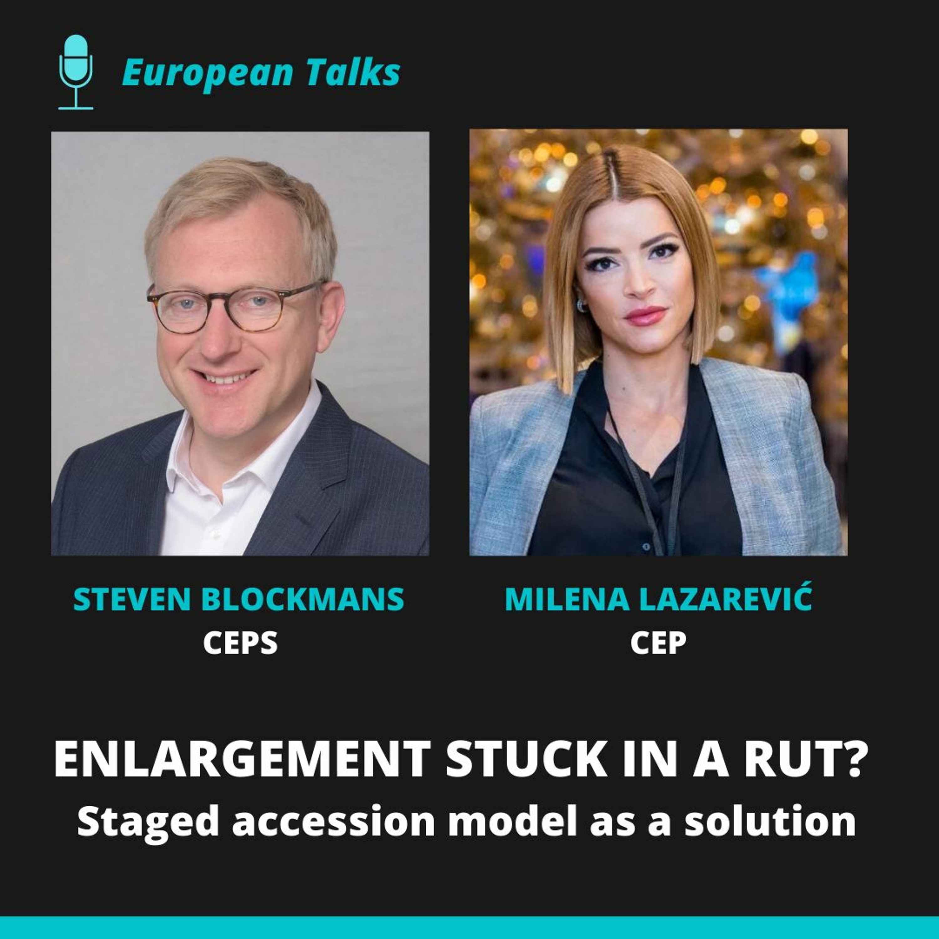 E33_11: Enlargement stuck in a rut? Staged accession model as a solution episode artwork