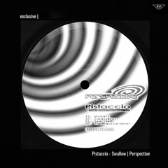 exclusive | Pistaccio - Swallow | Perspective