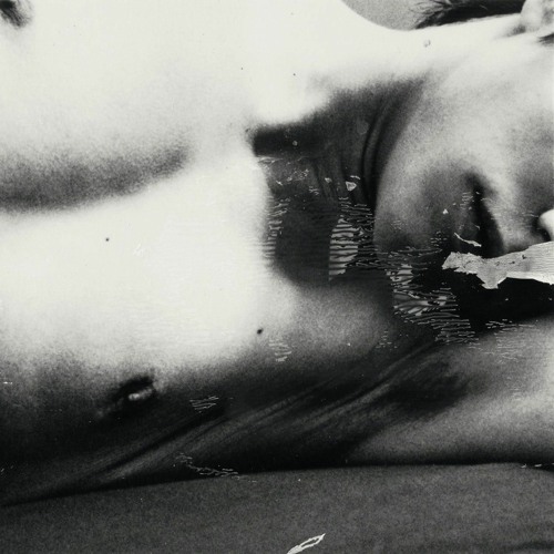 NENE H / POLY CHAIN - STANDARD DEVIATION (preview)