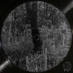 LINE OF ARGUMENT #009 | VYKRUTKA