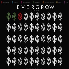 EVERGROW #53 - 100 Proof (Bigroom/Trap/Remix)