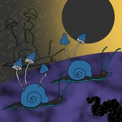Black Hole