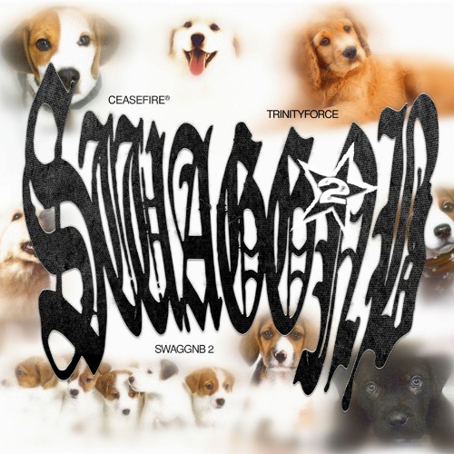 SWAGGNB 2 - Ceasefire + TrinityForce (@ceaseffire @3nityforce)