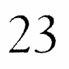 23