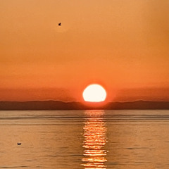 Anna Nova - Last verse