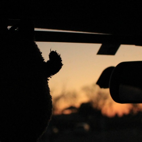 Stream Atranem Listen to Weird electronic stuff playlist online for