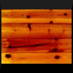 Knotty Pine Perusal (disquiet0690)
