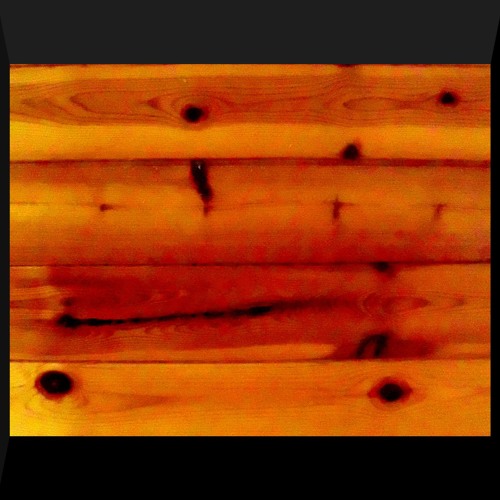Knotty Pine Perusal (disquiet0690)