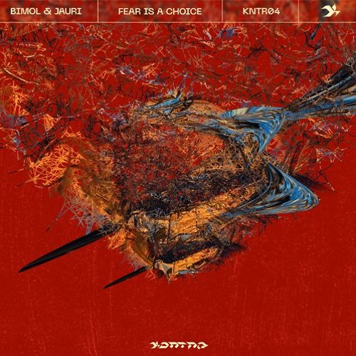 02 Bimol - Before  | KNTR04