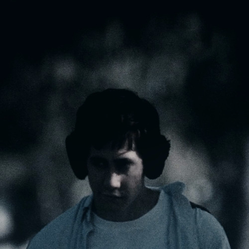 Loose cannon x donnie darko
