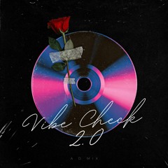 Vibe Check 2.0 | A.D Mix