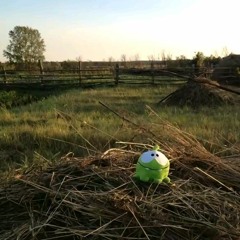 Россия-Убийцы(slowed)