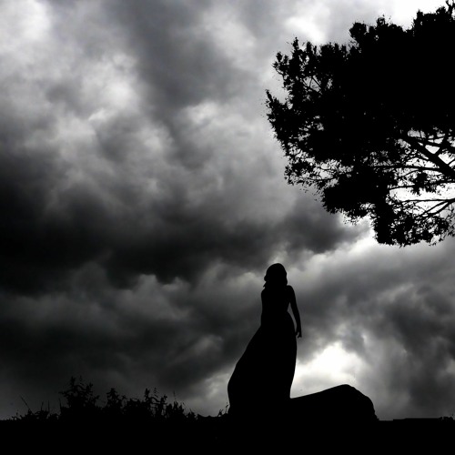 Sympathy For the Sky