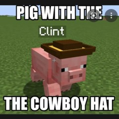 minecraft country boy