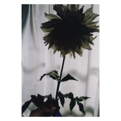 Phonehead / JUST MIX (2020)