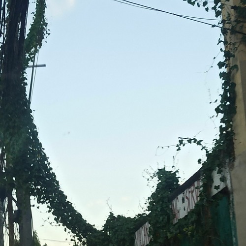 ‘I have to be all those things at once, all of the time.’