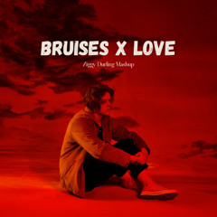 Bruises X Love (Ziggy Durling Mashup)
