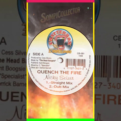 "Quench The Fire" by Nicky Seizer