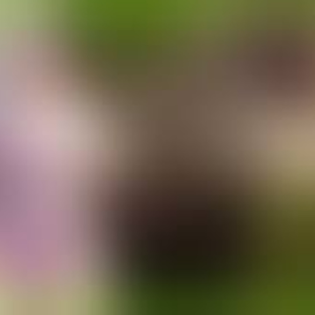 Stream episode New Live Video ลำไย ไห ทองคำ porn คลิป หลุด ลำไย porn ลำ ใย  ไห ทองคำ vk by Muctele Muctele podcast | Listen online for free on  SoundCloud