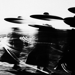 Flowers Drop Like Rain