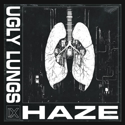 HAZE