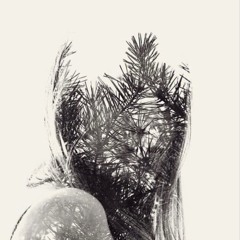 Life being what it is - Kaki King Cover