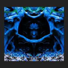 deep scout (Resonance Field)