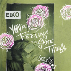 YOU’RE FEELING THE SAME THINGS [Skulkids Remix]