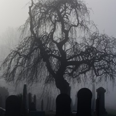 Desserrvedd - Slaugtherhouse. [Hard T/rap Type Beat]