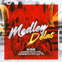 MEDLEY DELAS 2024 ( DJ ZIGÃO DA BRASILIA )